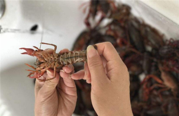 蝦尾怎么清洗，清洗蝦尾有兩方法