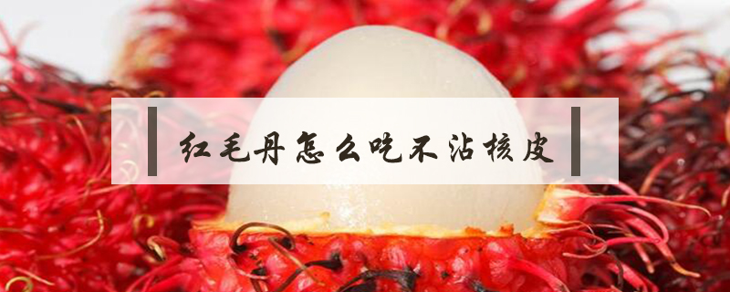 紅毛丹怎么吃不沾核皮