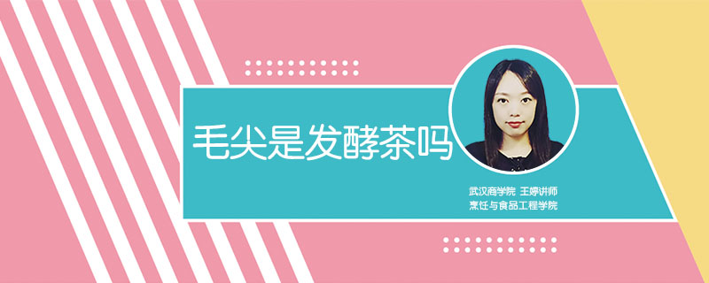 毛尖是發酵茶嗎