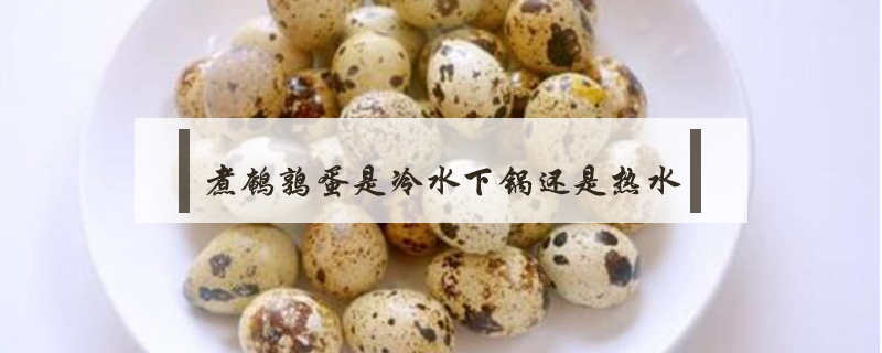 煮鵪鶉蛋是冷水下鍋還是熱水