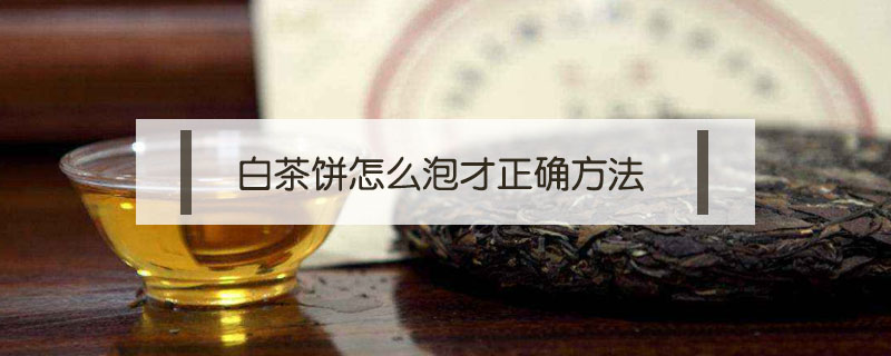 白茶餅怎么泡才正確方法