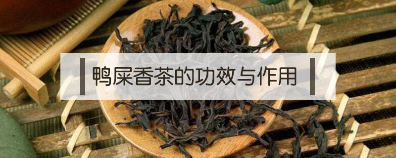鴨屎香茶的功效與作用