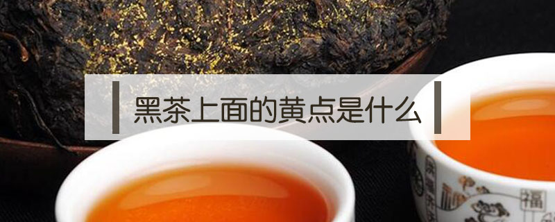 黑茶上面的黃點(diǎn)是什么
