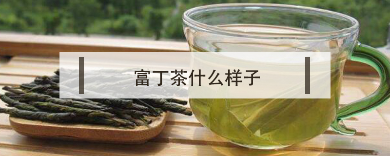 富丁茶什么樣子