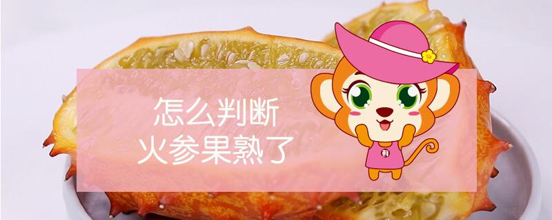 怎么判斷火參果熟了