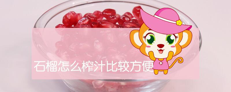 石榴怎么榨汁比較方便