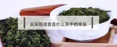 安溪鐵觀音是什么茶中的珍品