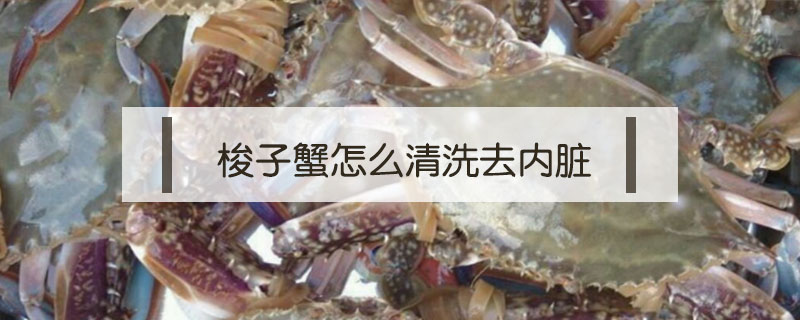 梭子蟹怎么清洗去內(nèi)臟