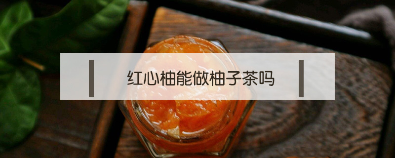 紅心柚能做柚子茶嗎