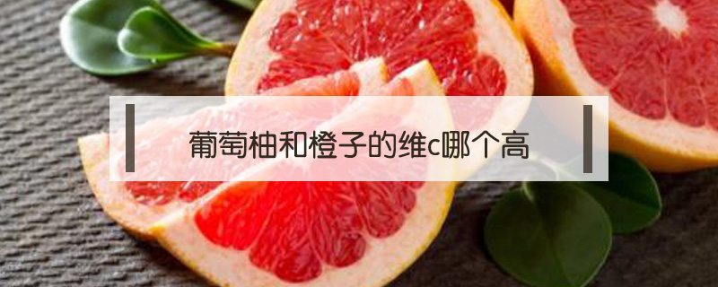 葡萄柚和橙子的維c哪個高