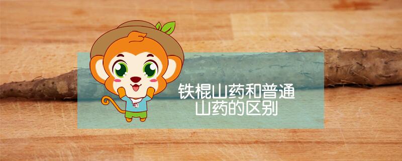鐵棍山藥和普通山藥的區別