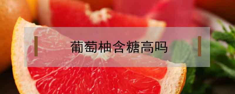 葡萄柚含糖高嗎