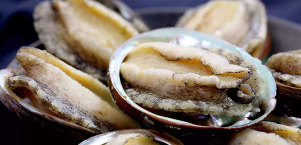 買回來(lái)的鮑魚怎么過夜保存