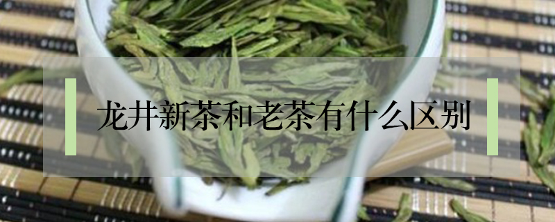 龍井新茶和老茶有什么區別