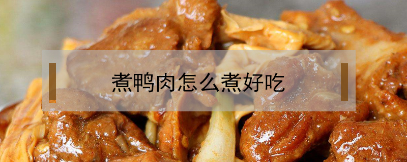 煮鴨肉怎么煮好吃