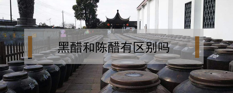 黑醋和陳醋有區別嗎