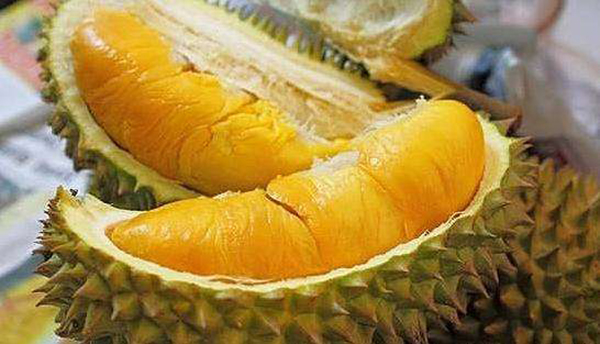 榴蓮沒熟打開后怎么辦