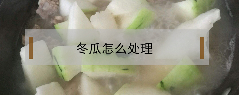 冬瓜怎么處理