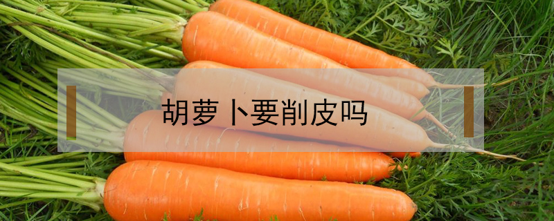 胡蘿卜要削皮嗎