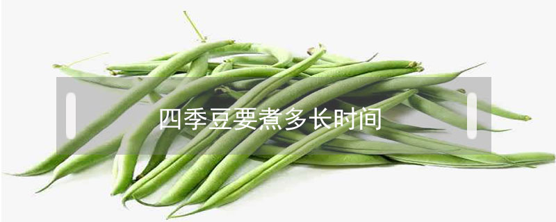 四季豆要煮多長時間