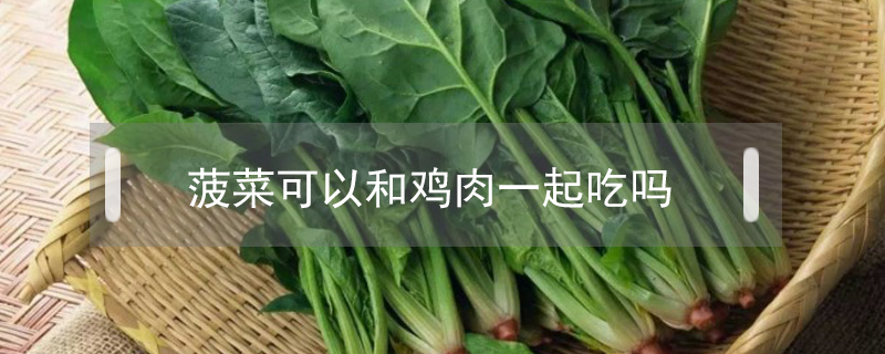菠菜可以和雞肉一起吃嗎