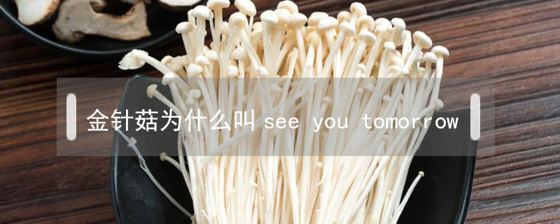 金針菇為什么叫see you tomorrow