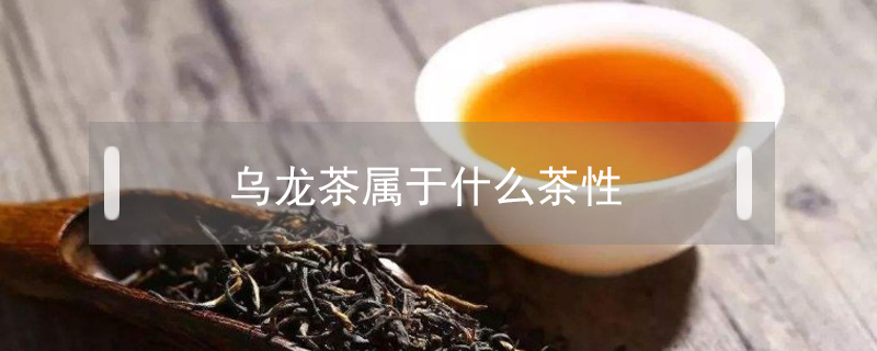 烏龍茶屬于什么茶性
