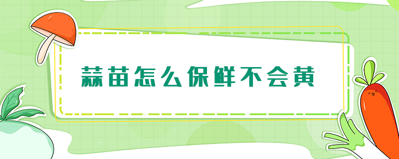 蒜苗怎么保鮮不會黃