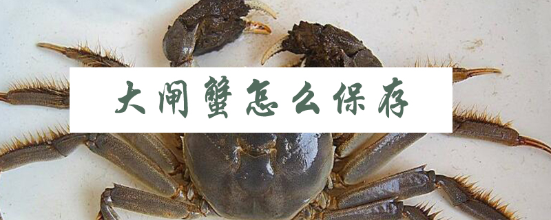 大閘蟹怎么保存