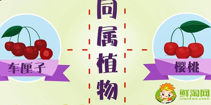 車?yán)遄雍蜋烟业膮^(qū)別
