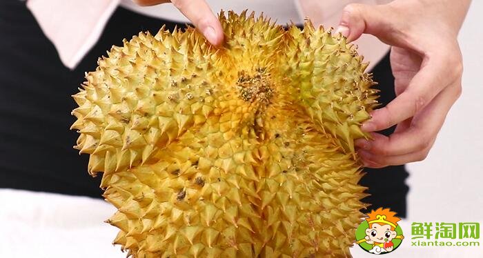 榴蓮怎么挑