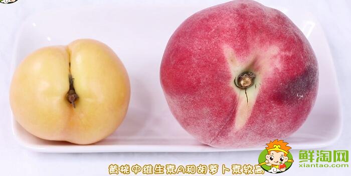 黃桃和水蜜桃的區別