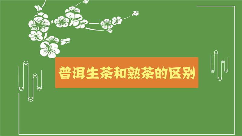普洱生茶和熟茶的區(qū)別