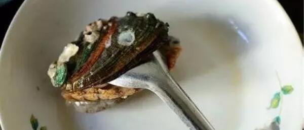 鮑魚怎么清洗，鮑魚清洗方法