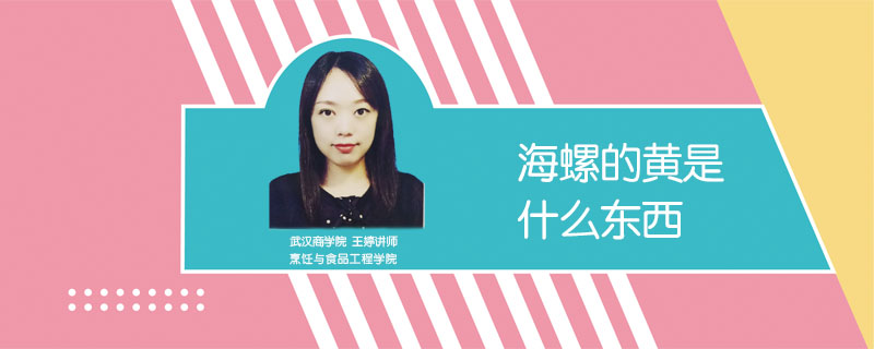 海螺的黃是什么東西