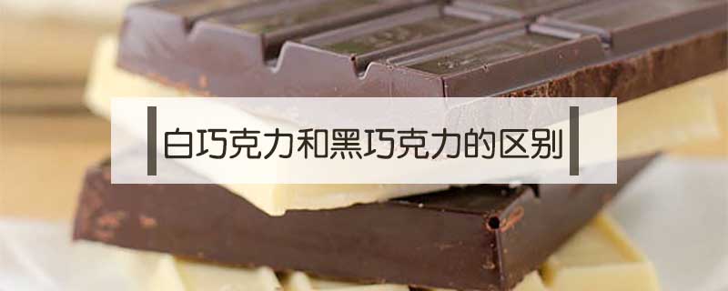 白巧克力和黑巧克力的區別