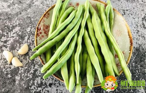 蕓豆長什么樣,蕓豆品種圖片大全
