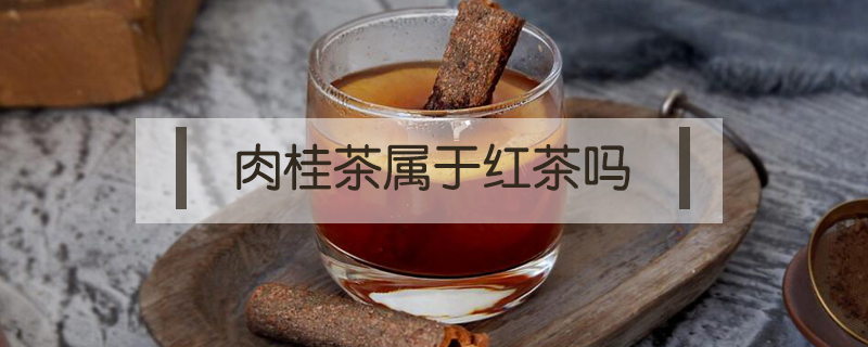 肉桂茶屬于紅茶嗎