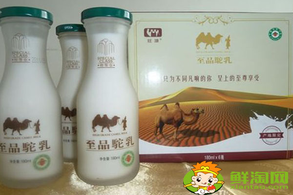 駱駝奶早睌喝還是空腹喝,駱駝奶的功效和作用