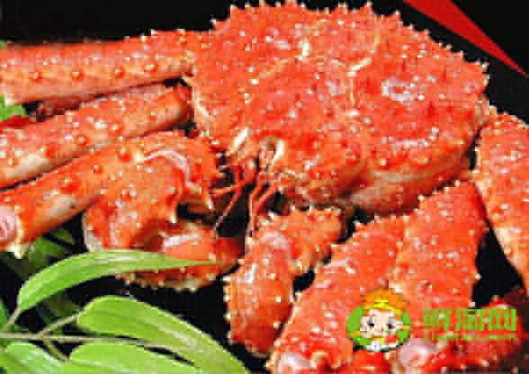 活帝王蟹怎么能養幾天,帝王蟹紅的和藍哪個貴