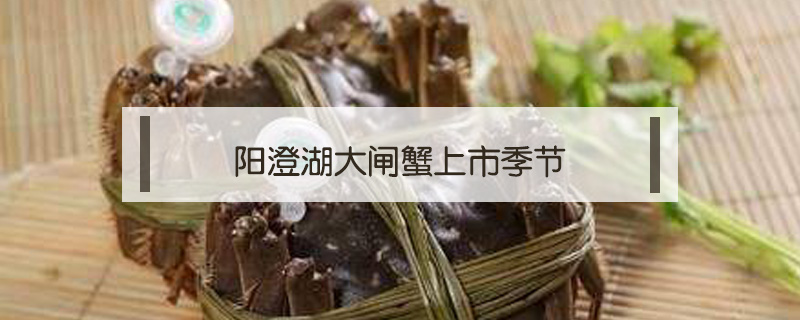 陽澄湖大閘蟹上市季節