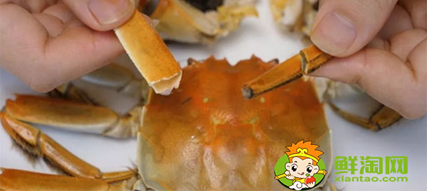 新手怎么吃螃蟹圖解