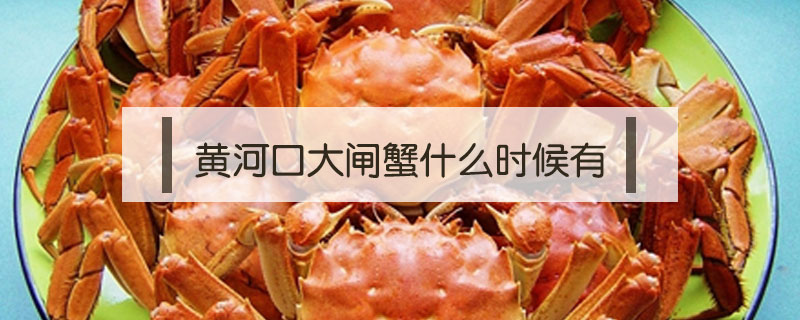 黃河口大閘蟹什么時候有