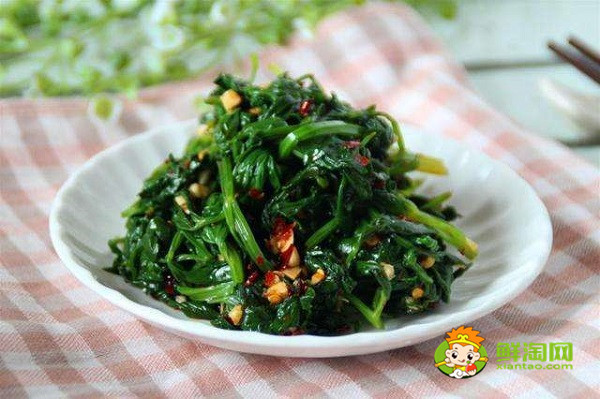 芹菜葉不焯水能吃嗎,新鮮芹菜葉怎么做好吃