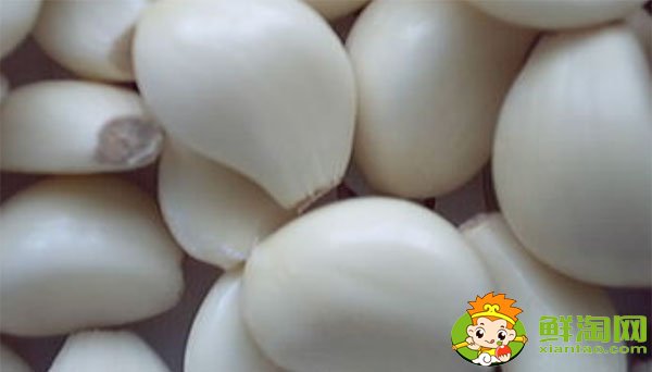 金鄉大蒜最新價格，一九年下半年大蒜行情