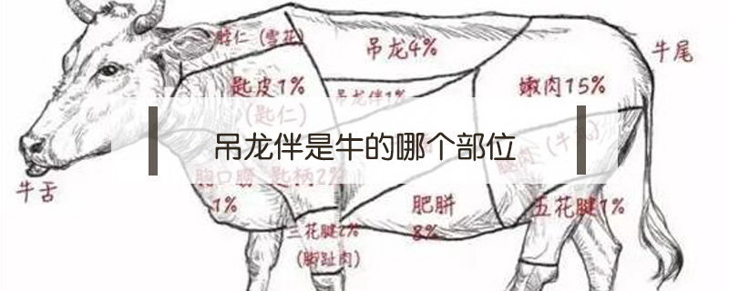 吊龍伴是牛的哪個部位