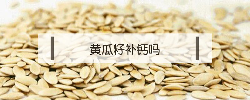 黃瓜籽補鈣嗎