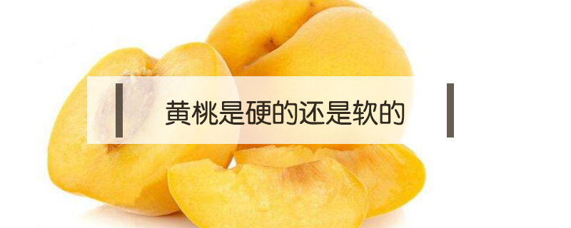 黃桃是硬的還是軟的