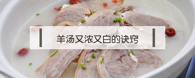 羊湯又濃又白的訣竅