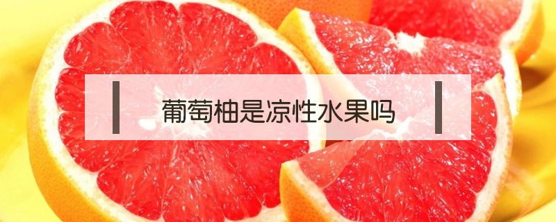 葡萄柚是涼性水果嗎